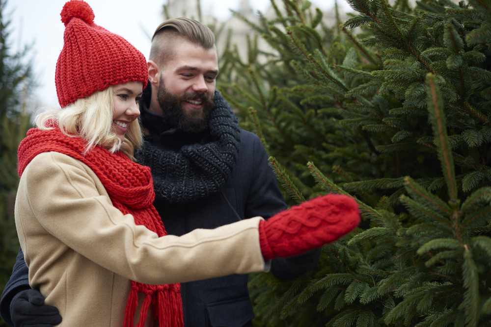 A young couple shopping for a Christmas tree