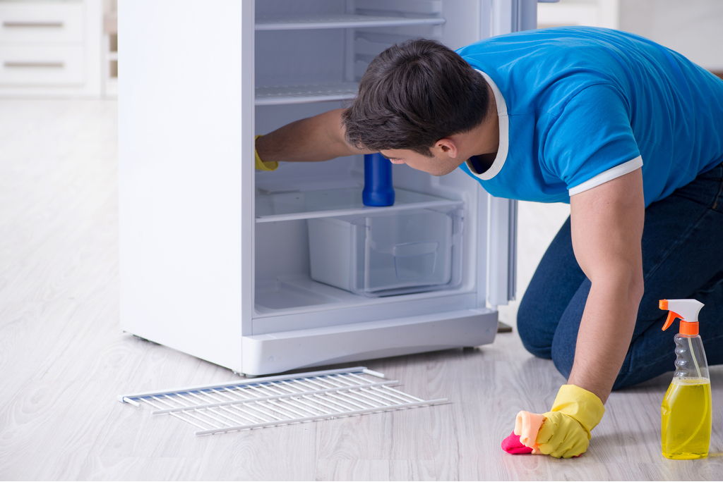 Man Cleaning Fridge