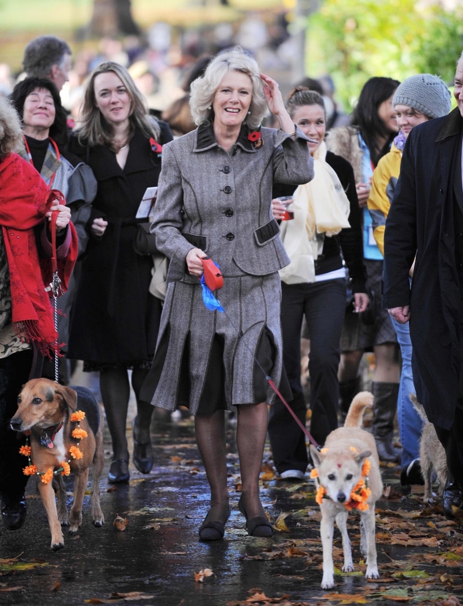 Duchess launches dog walk