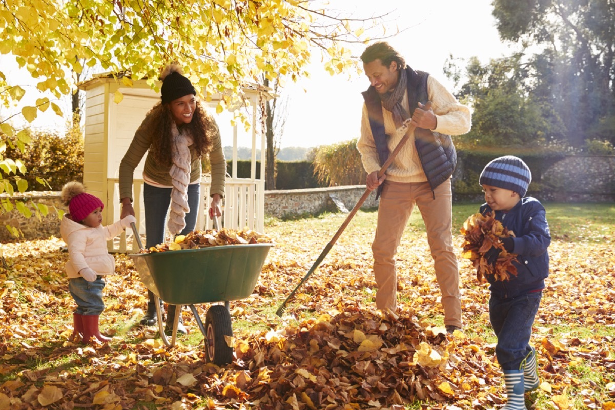 black mother, father, and two little girls raking leaves into green wheelbarrow on a fall day