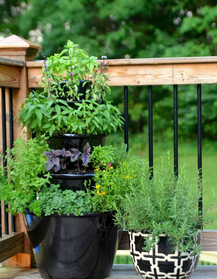 space-saving-garden-hacks-for-small-spaces-that-are-charming-and-inventive-10