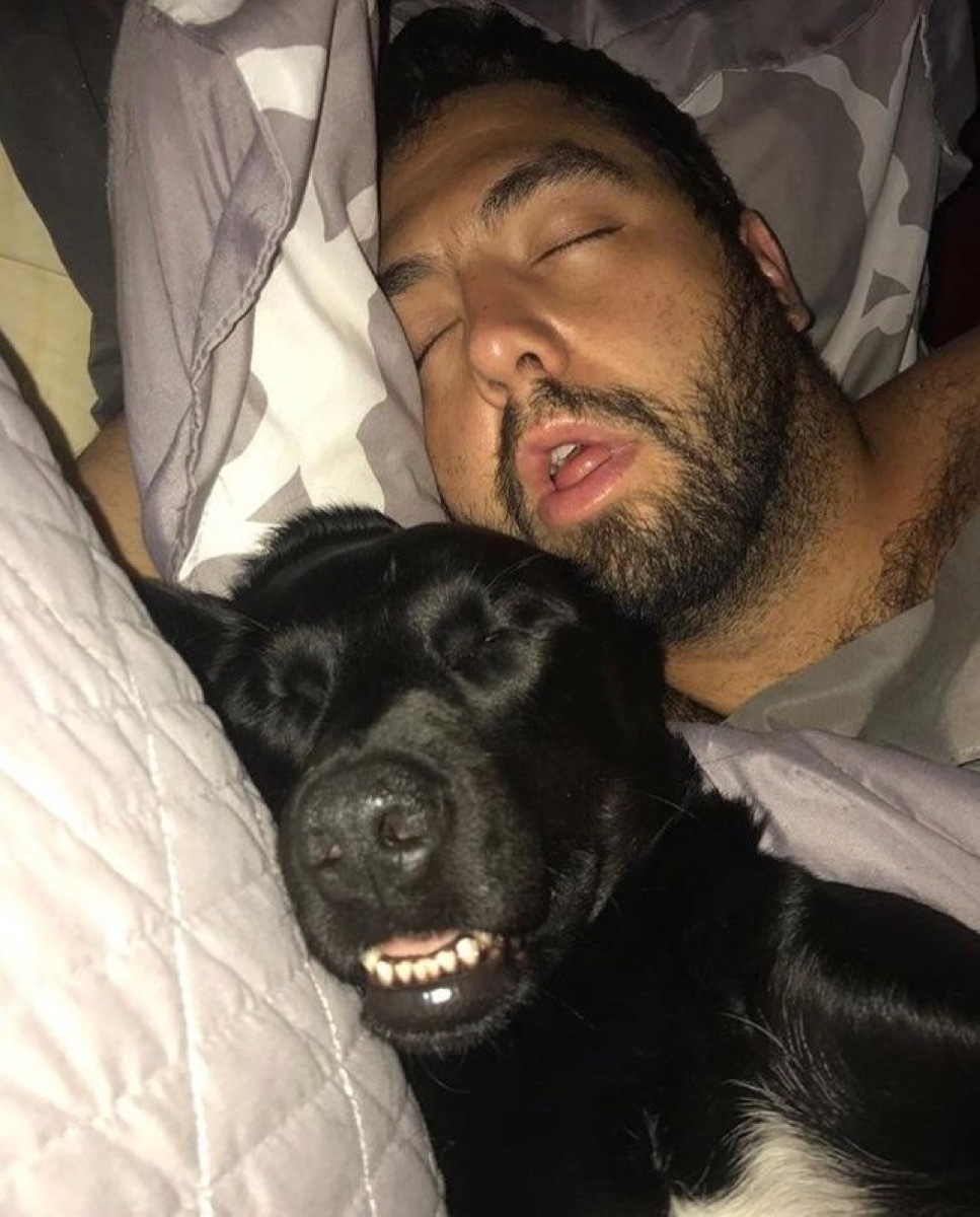 sleeping black lab and owner dogs who look like their owners