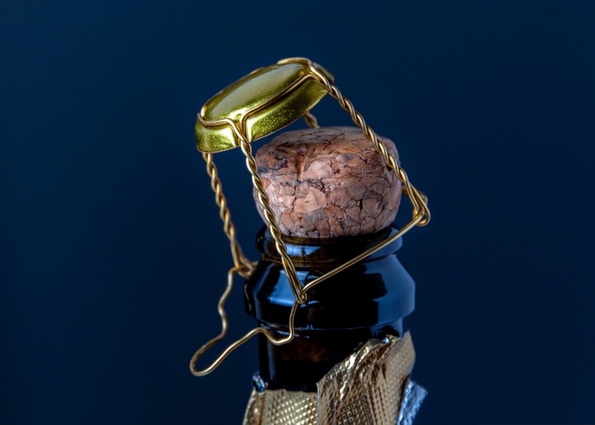 Cork and wire on a bottle of wine or champagne on a dark blue background. Holiday concept