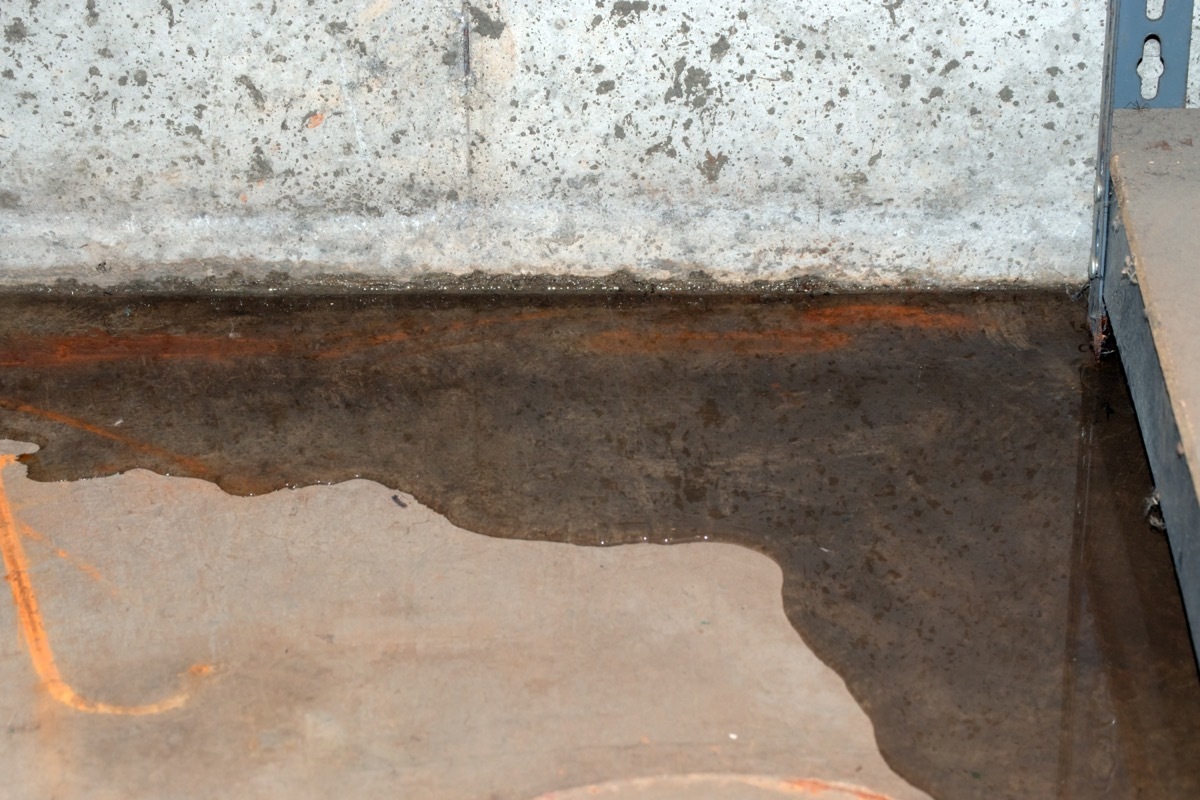 puddle of water in the corner of a basement