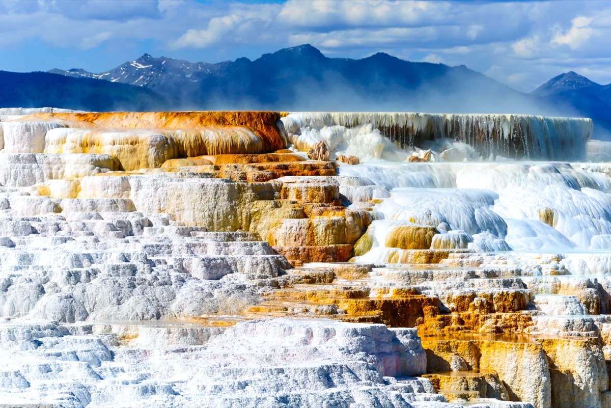 mammoth hotsprings yellowstone