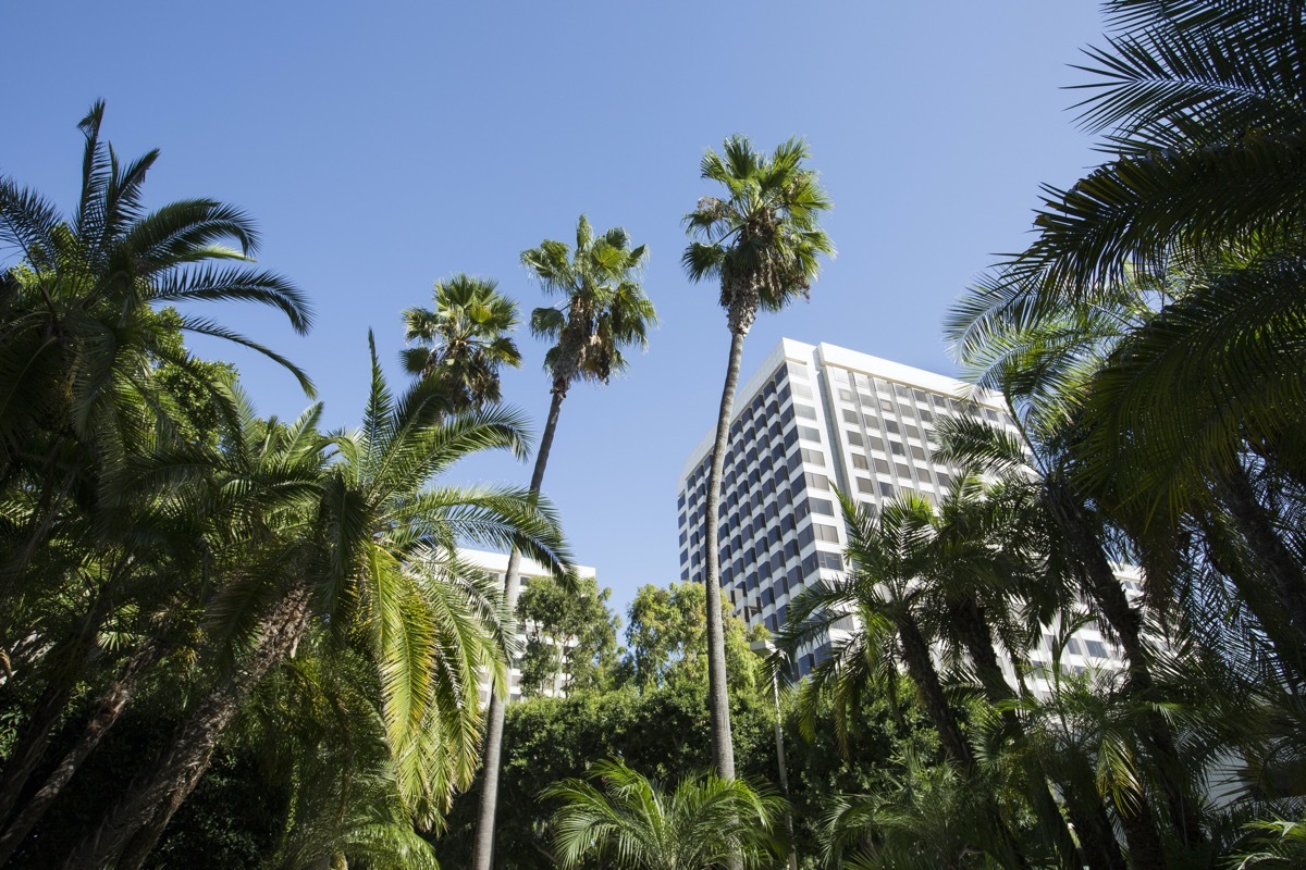 building and tress in downtown Irvine, California