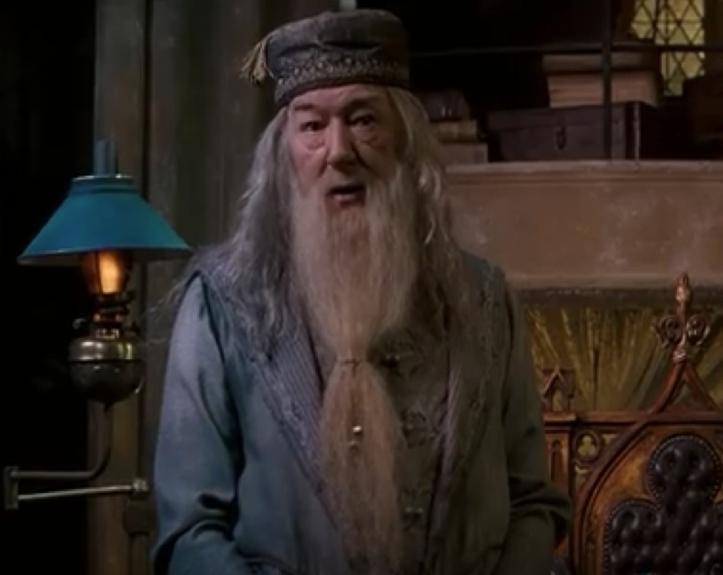 dumbledore got style