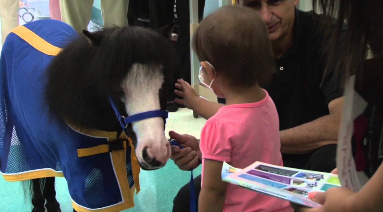 Magic the Miniature Mare Animals Who Are Real-Life Heroes