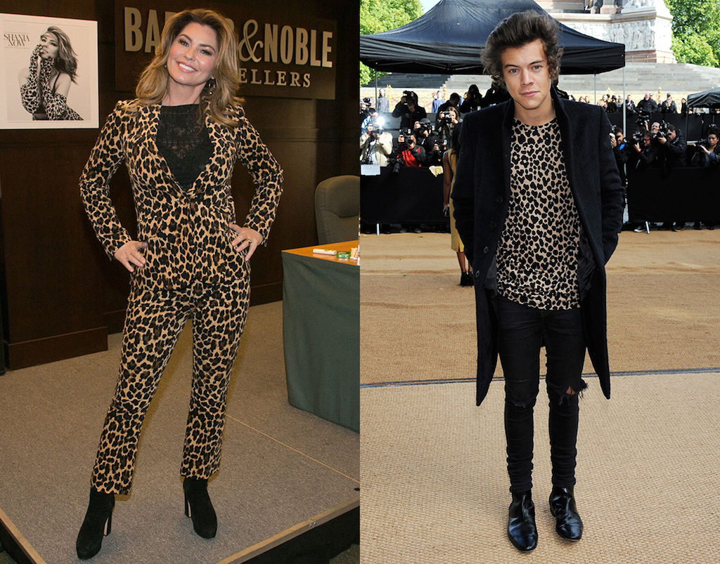 harry styles shania twain both wearing leopard print