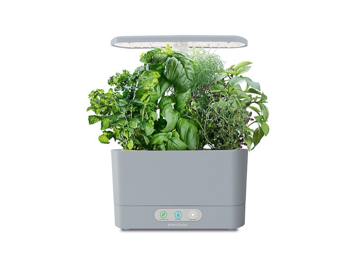 aerogarden planter full of herbs