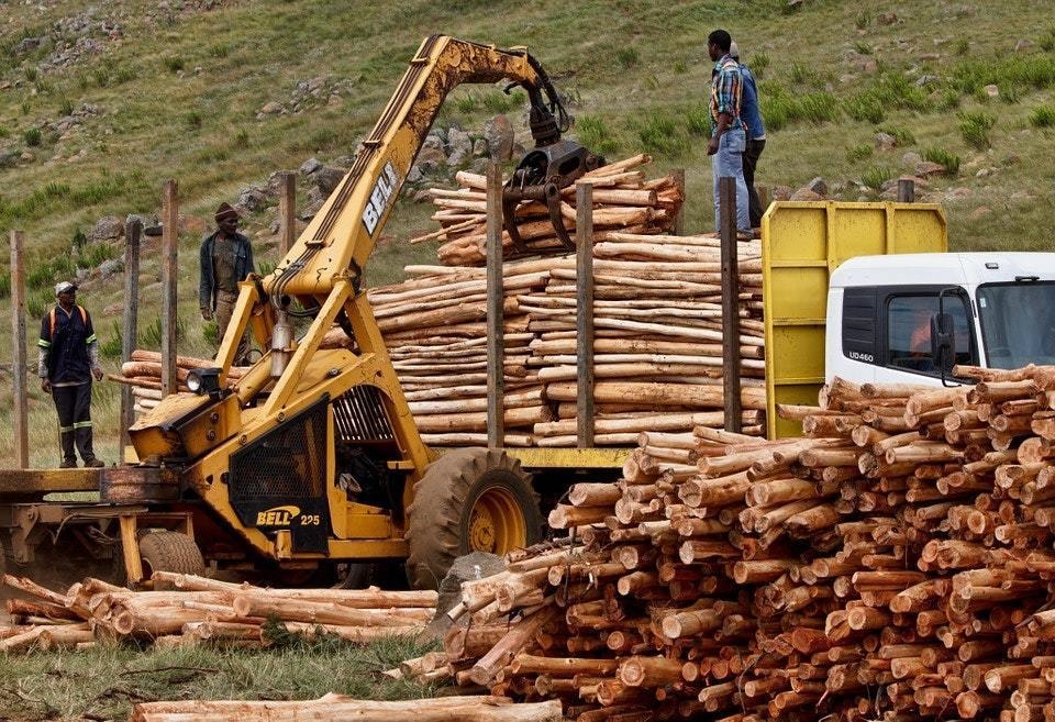 Typical Loggers' Workday