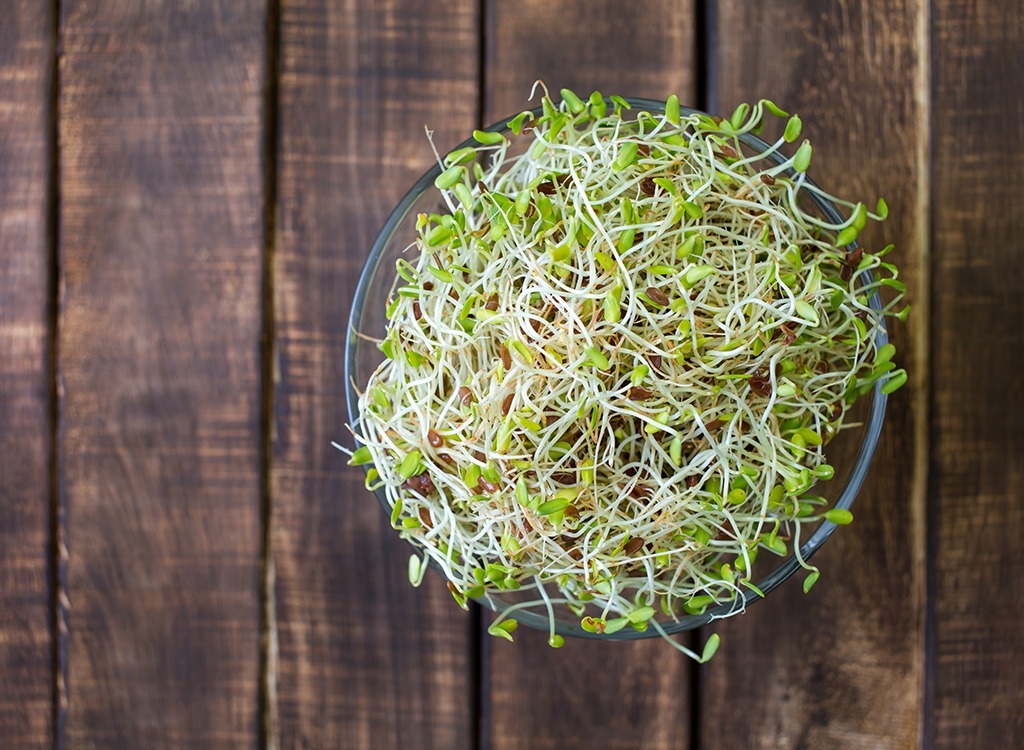 alfalfa sprouts