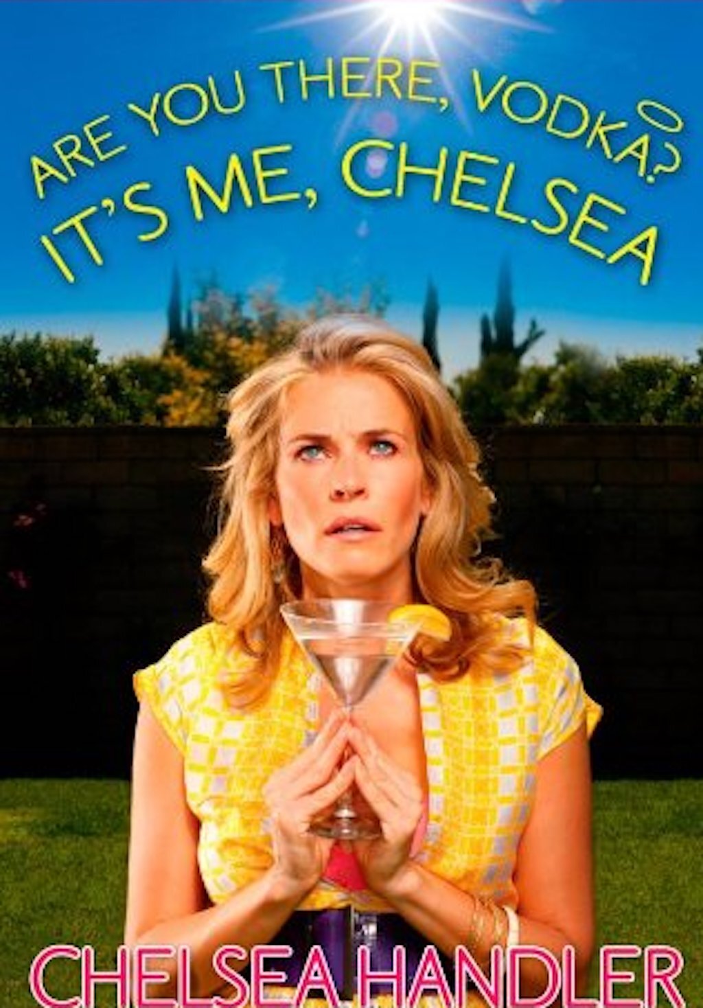 chelsea handler funniest Celebrity Books 