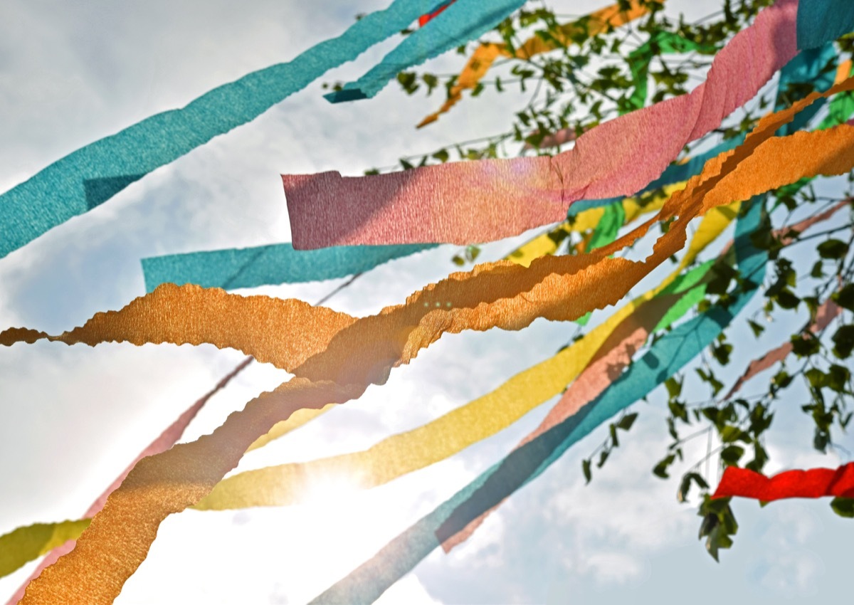 decorated birch tree with ribbons